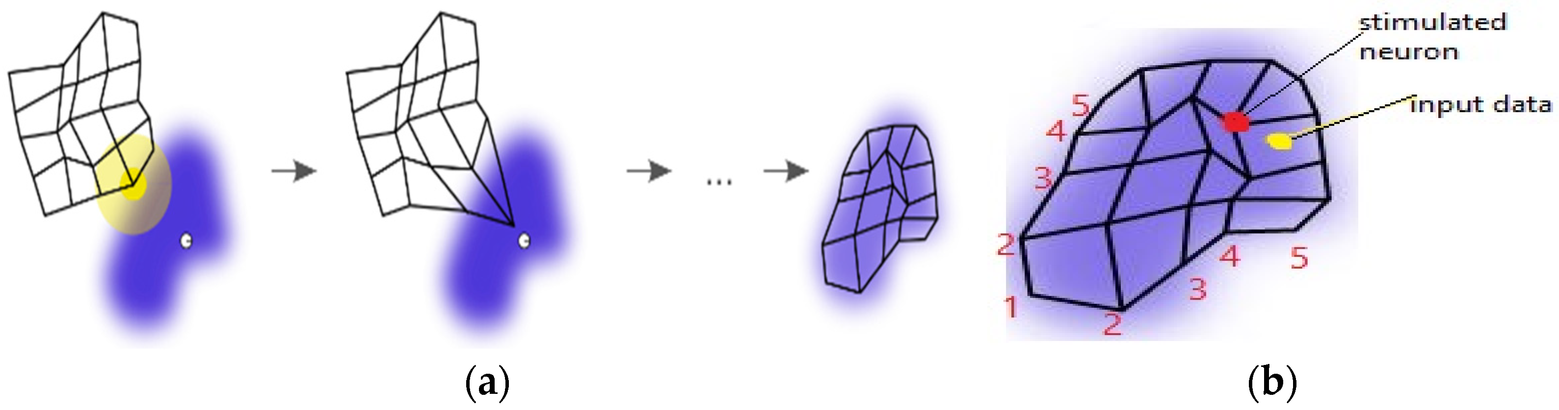 A Self-Organizing Map Artificial Neural Network to Improve the K-Means Algorithm on the Classification of Different Cancers preview